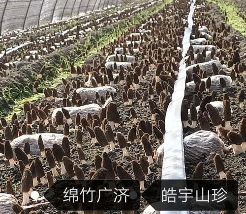 &#98;&#115;&#112;&#111;&#114;&#116;&#115;&#45;&#98;&#40;&#20013;&#22269;&#41;&#19968;&#31449;&#24335;&#20307;&#32946;&#26381;&#21153;&#23448;&#26041;&#32593;&#31449;