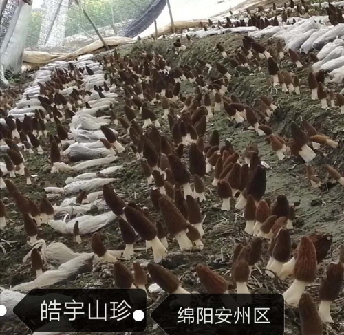 &#98;&#115;&#112;&#111;&#114;&#116;&#115;&#45;&#98;&#40;&#20013;&#22269;&#41;&#19968;&#31449;&#24335;&#20307;&#32946;&#26381;&#21153;&#23448;&#26041;&#32593;&#31449;