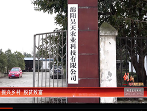 &#98;&#115;&#112;&#111;&#114;&#116;&#115;&#45;&#98;&#40;&#20013;&#22269;&#41;&#19968;&#31449;&#24335;&#20307;&#32946;&#26381;&#21153;&#23448;&#26041;&#32593;&#31449;