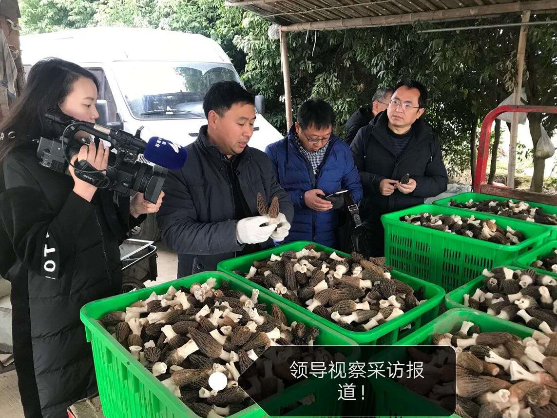 &#98;&#115;&#112;&#111;&#114;&#116;&#115;&#45;&#98;&#40;&#20013;&#22269;&#41;&#19968;&#31449;&#24335;&#20307;&#32946;&#26381;&#21153;&#23448;&#26041;&#32593;&#31449;