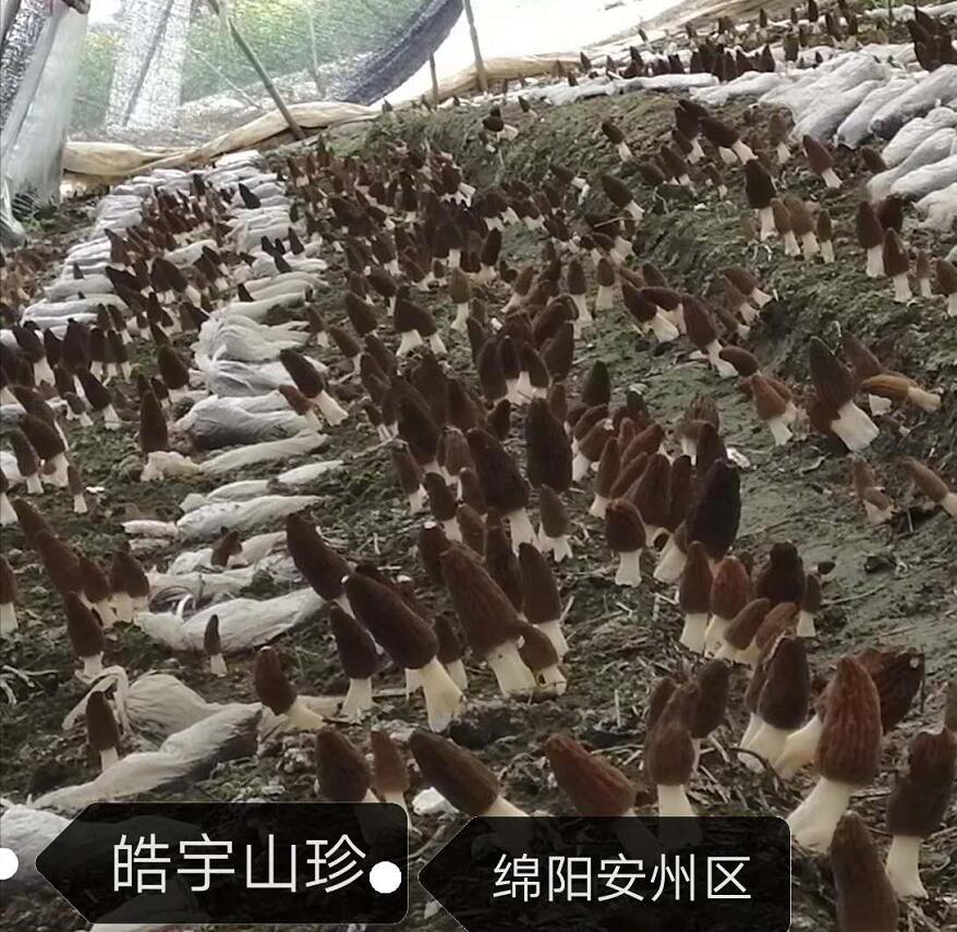 &#98;&#115;&#112;&#111;&#114;&#116;&#115;&#45;&#98;&#40;&#20013;&#22269;&#41;&#19968;&#31449;&#24335;&#20307;&#32946;&#26381;&#21153;&#23448;&#26041;&#32593;&#31449;