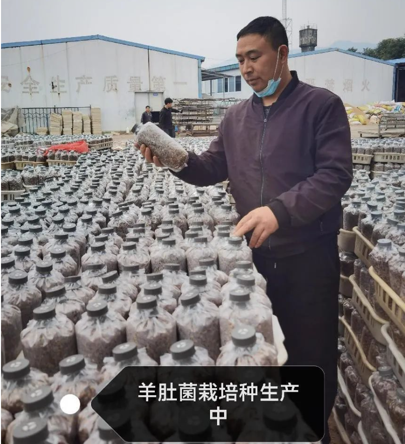 &#98;&#115;&#112;&#111;&#114;&#116;&#115;&#45;&#98;&#40;&#20013;&#22269;&#41;&#19968;&#31449;&#24335;&#20307;&#32946;&#26381;&#21153;&#23448;&#26041;&#32593;&#31449;